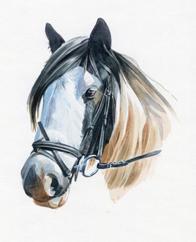 watercolour portrait of horse